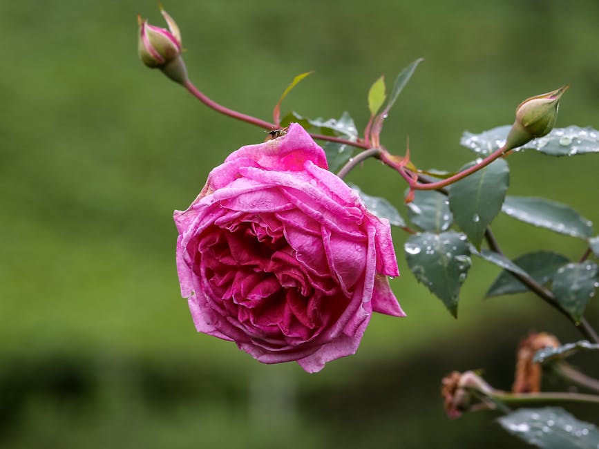 10 Signs He’s Secretly Completely Head Over Heels for You